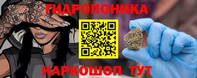 ПСИЛОЦИБИНОВЫЕ ГРИБЫ Кимры