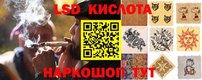 MESCALINE Кингисепп