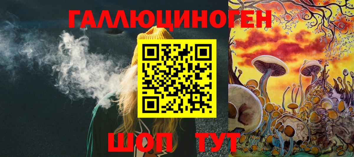 Галлюциногенные грибы MAGIC MUSHROOMS  Вход с VPN  Камышлов 