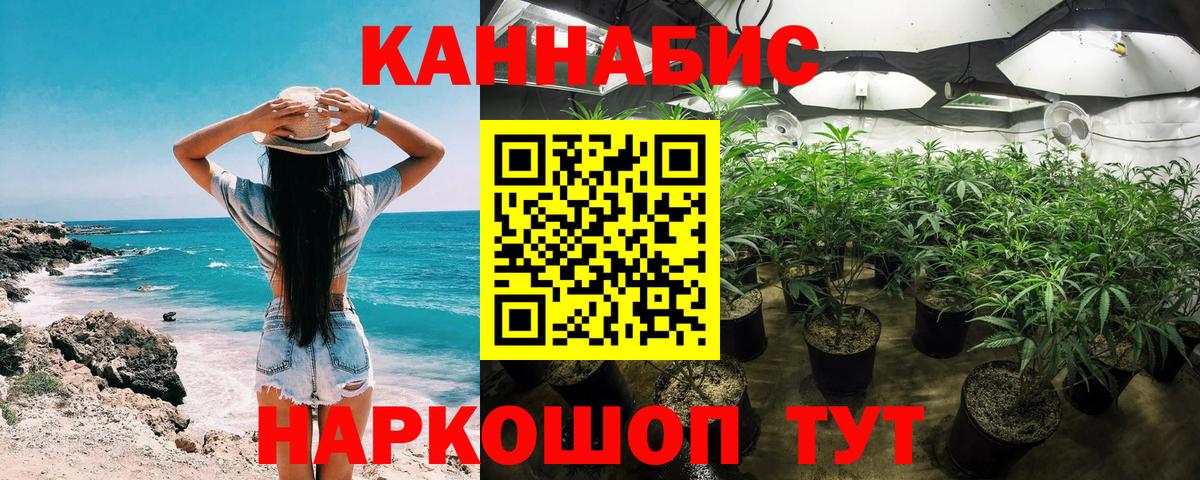 Бошки Шишки конопля  Бошки Шишки Bruce Banner  Вход с VPN  Камышлов  Бошки марихуана Ganja 